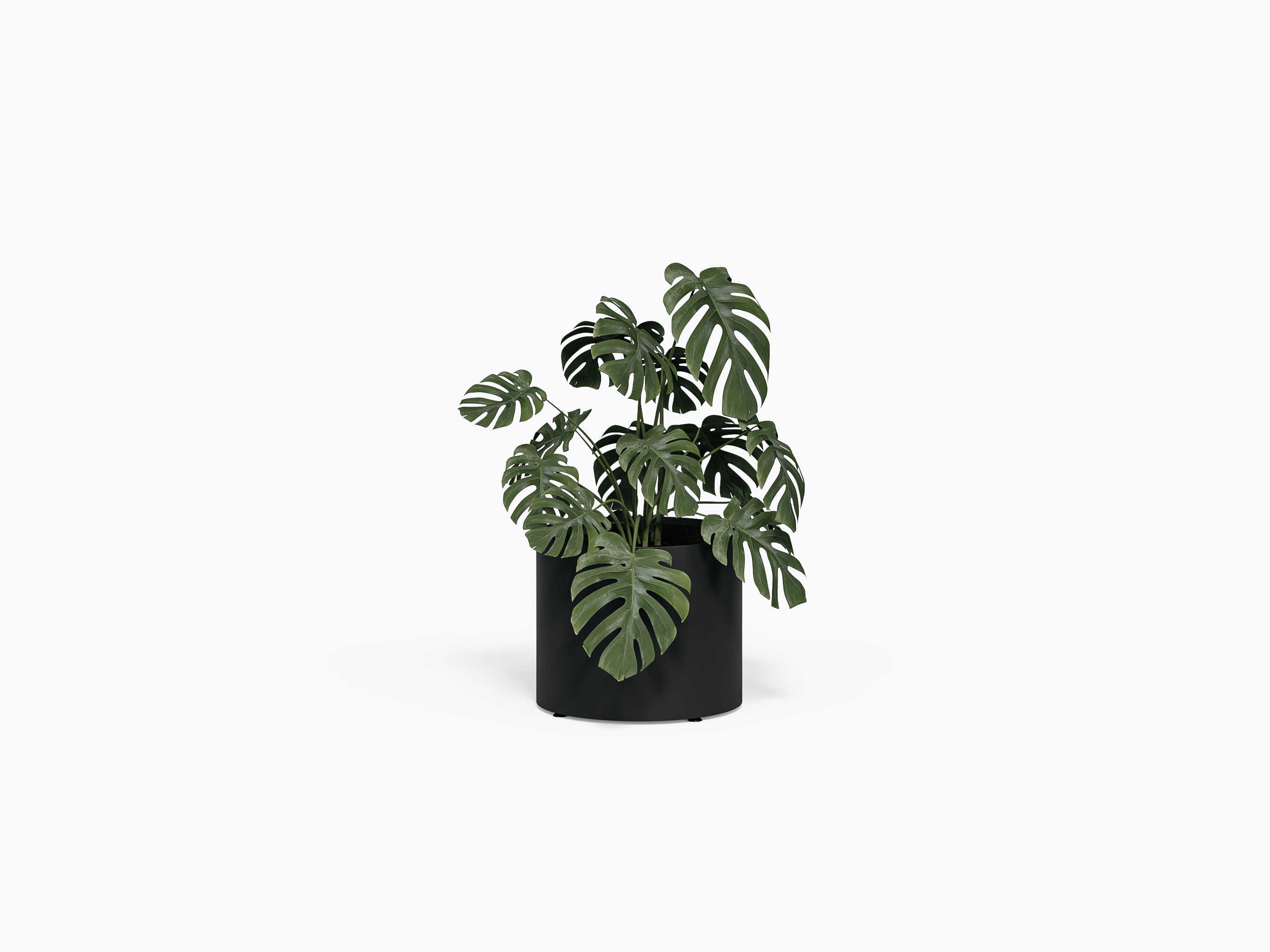 Bloom RD Planter - 24 x 24 x 20" in Black