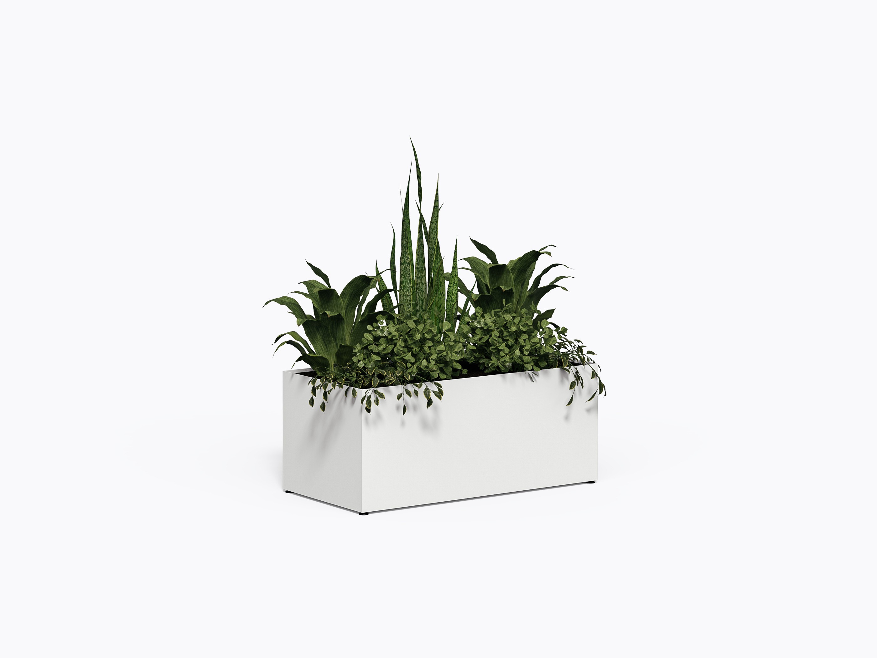 Bloom SQ Planter - 24 x 48 x 20" in White