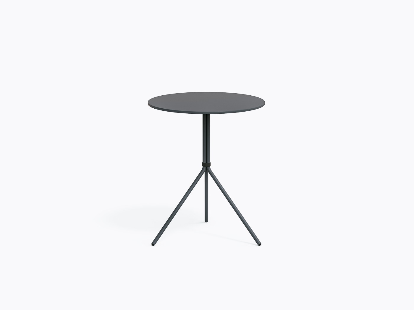 nolita5453_standard_gae_01.jpg