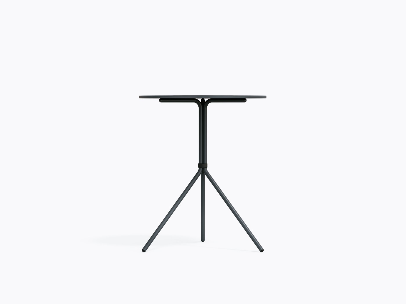 nolita5453_standard_gae_02.jpg