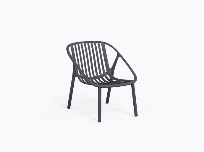 Bini Lounge Chair - Dark Grey