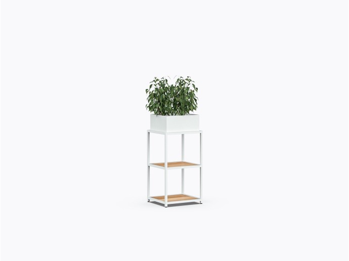 Pigou S Shelf 20" X 34"(h) in Yellow Birch