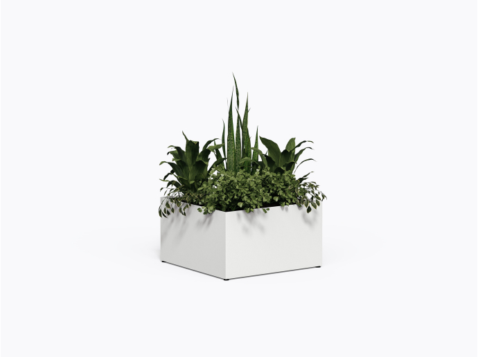 Bloom SQ Planter - 36 x 36 x 20" in White