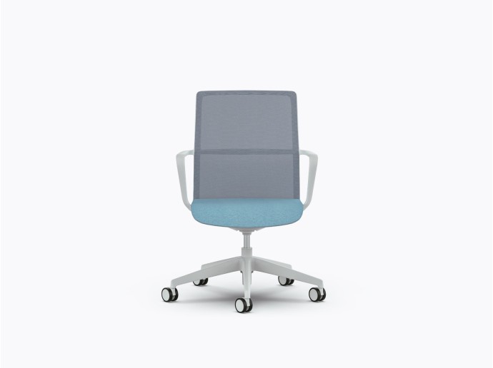 Chaise Senator Circo - Bleue