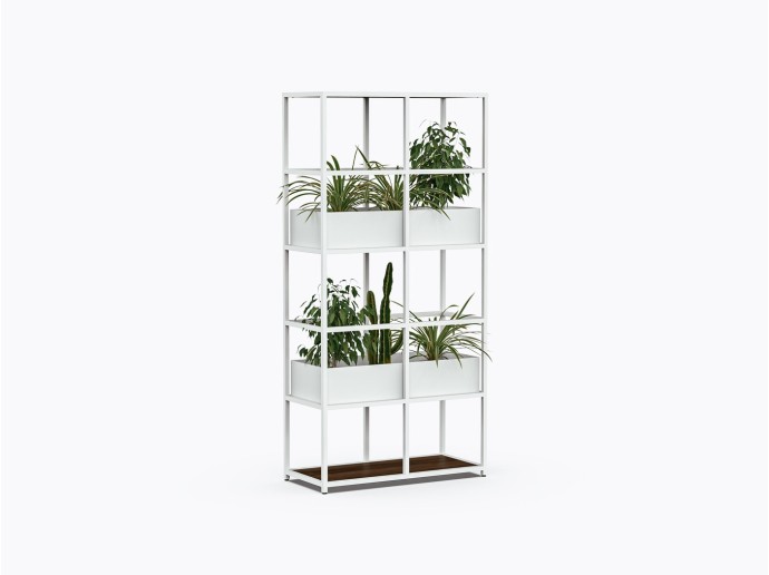 Pigou P Shelf 40" X 82"(h) in Walnut
