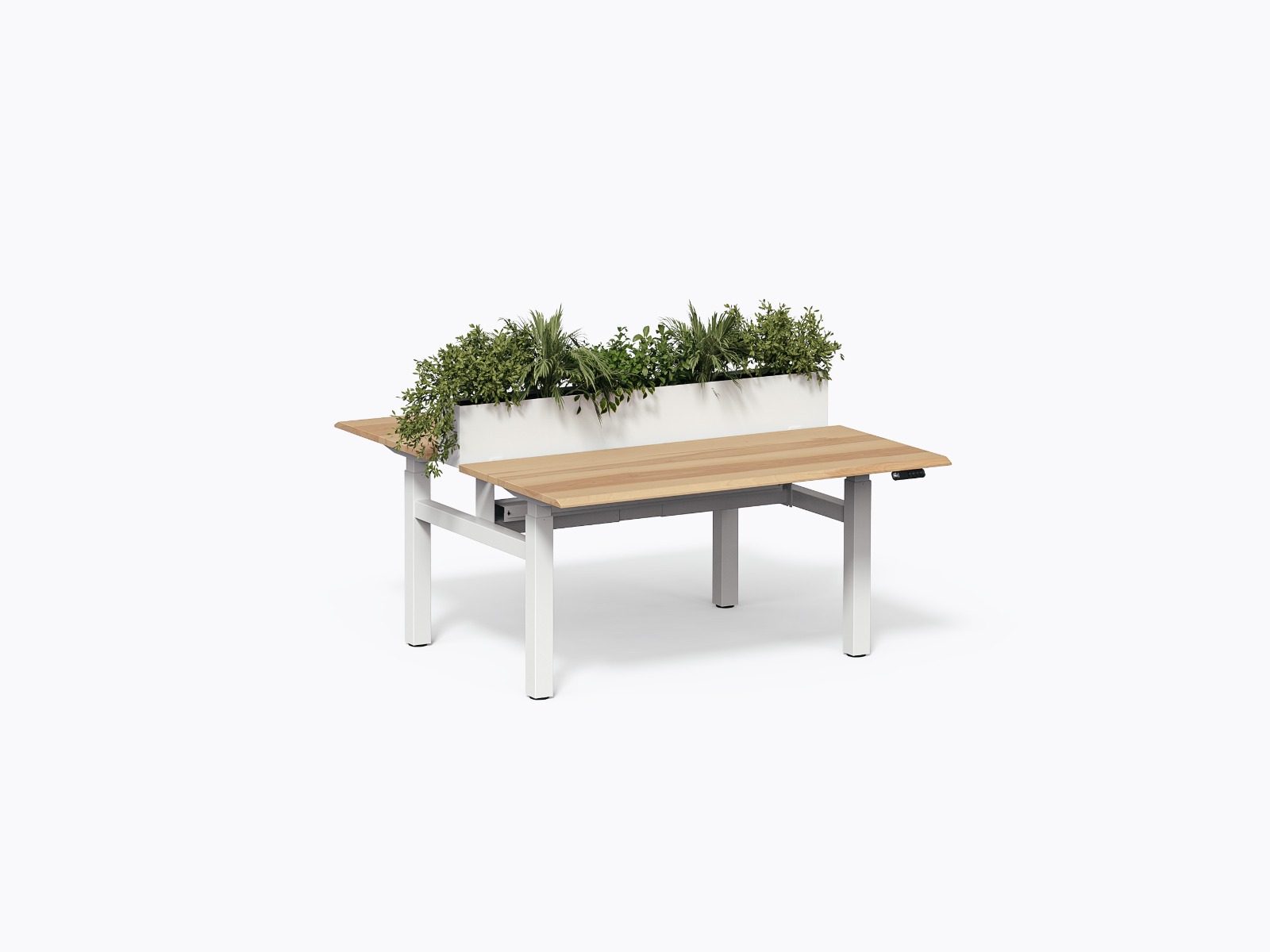 Bureau Pareto merisier 2 postes face à face avec bac à plante