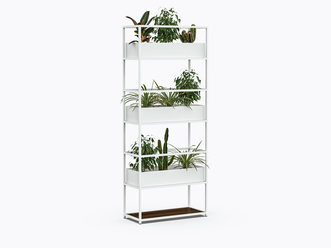 Pigou P Shelf - 40" X 98"(h) - Walnut