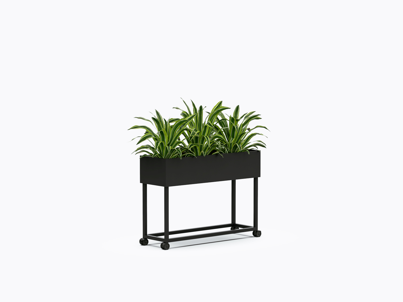 Cache-Pot avec roulettes - 36" X 26"(h)