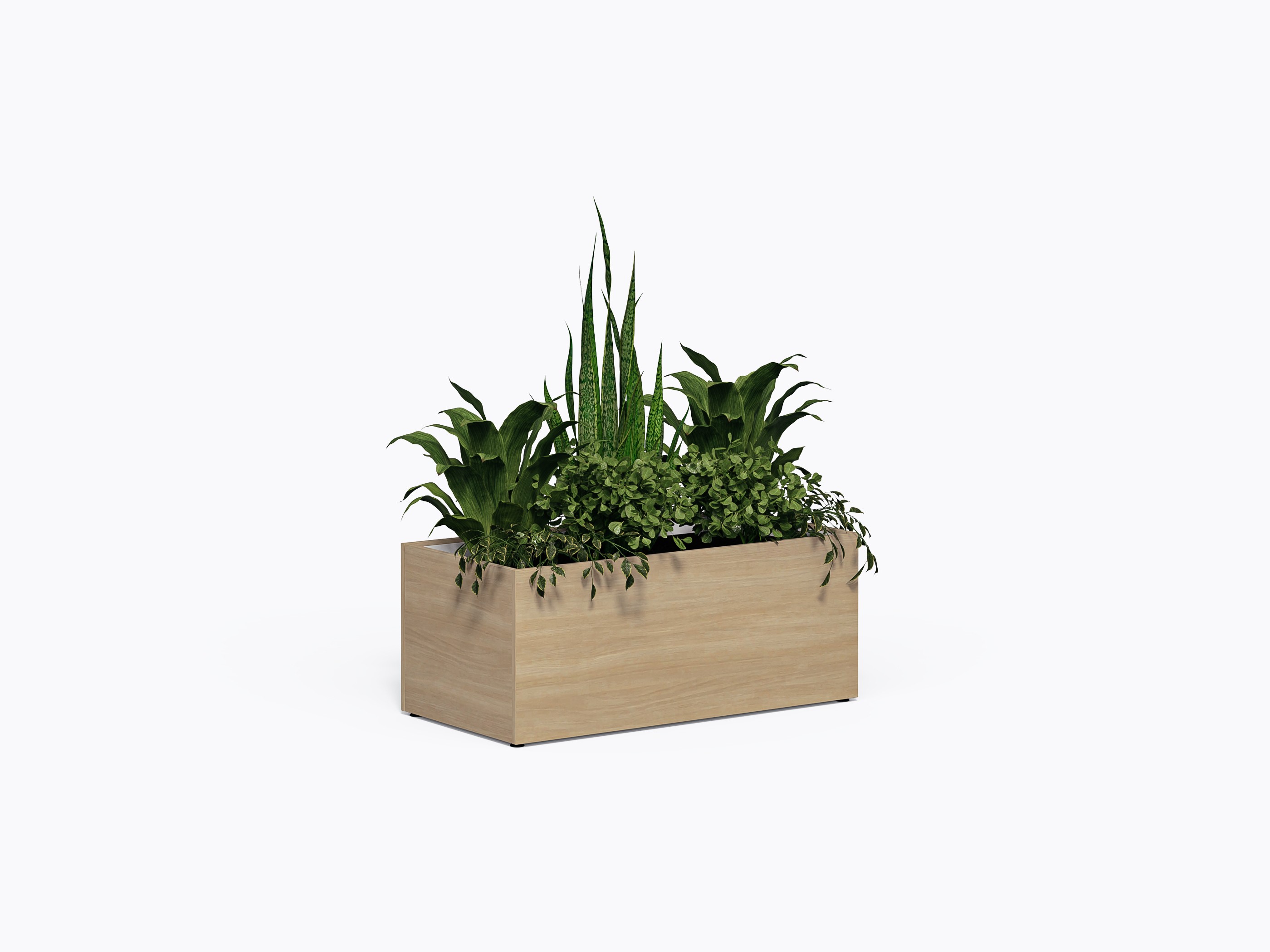 Bac à plante Porter - 24 x 48 x 20" en Stratifié Chêne blanc blanchi