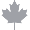 Maple leaf